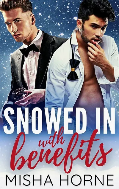 Cover of Snowed In With Benefits