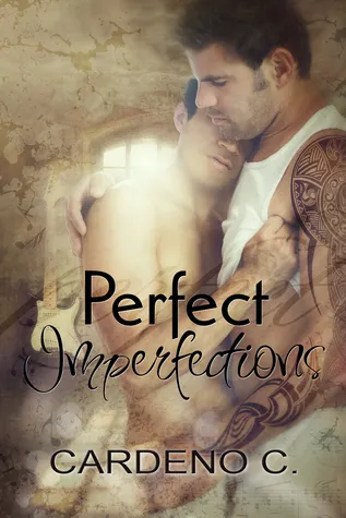 Cover of Perfect Imperfections