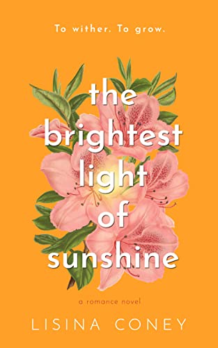 Cover of The Brightest Light of Sunshine