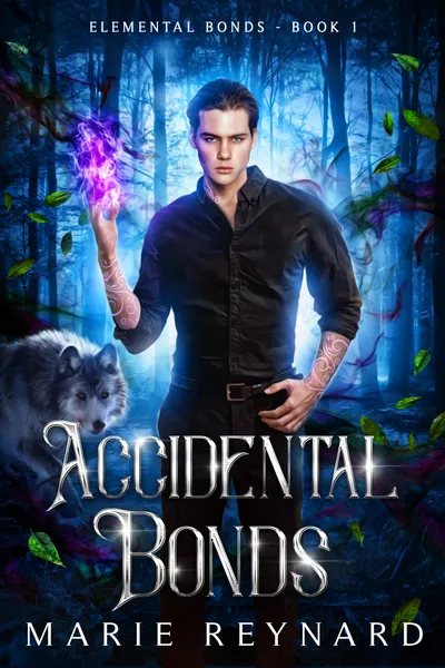Cover of Accidental Bonds