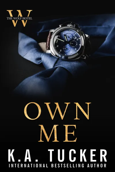 Cover of Own Me