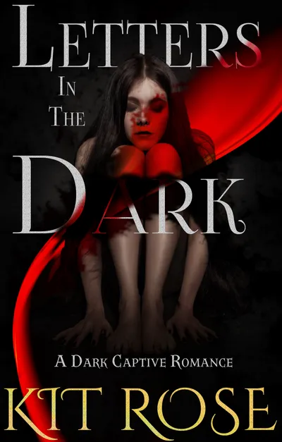 Cover of Letter in the Dark