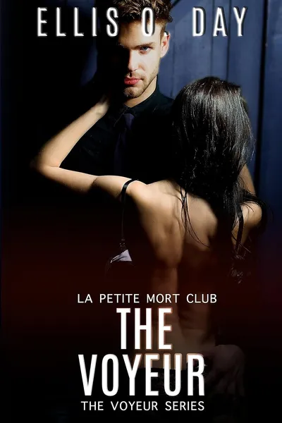 Cover of The Voyeur: A FREE military, brother's best friend erotic romantic comedy