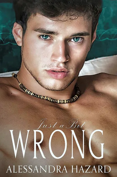 Cover of Just a Bit Wrong
