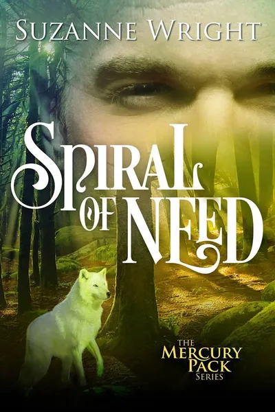 Cover of Spiral of Need
