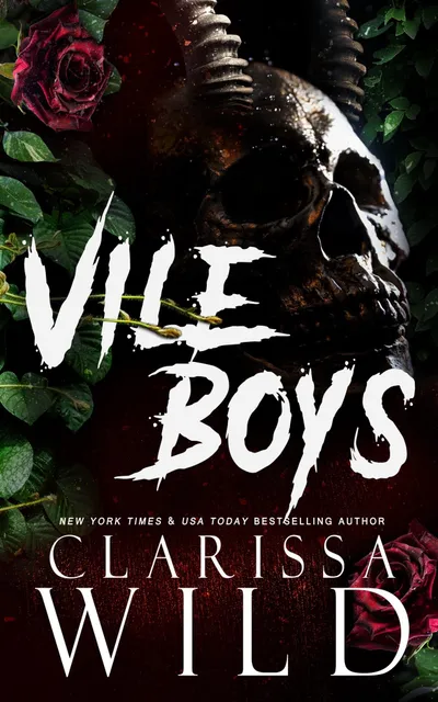 Cover of Vile Boys