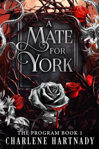 Cover of A Mate for York