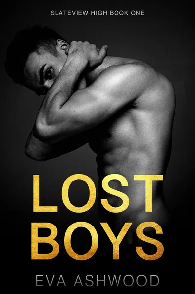 Cover of Lost Boys