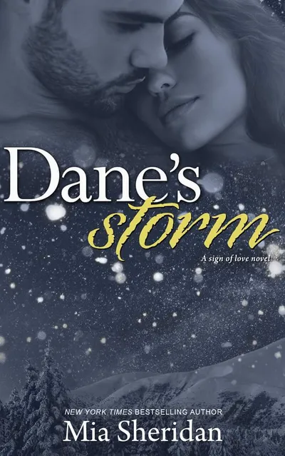 Cover of Dane's Storm