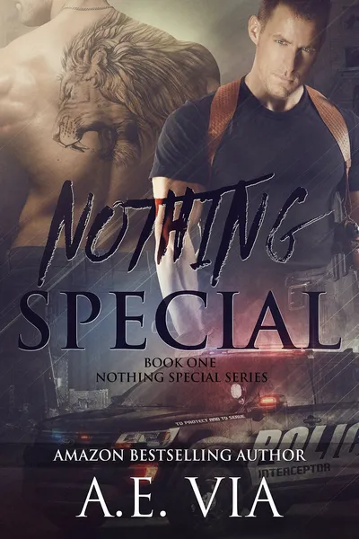 Cover of Nothing Special