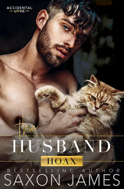 Cover of The Husband Hoax