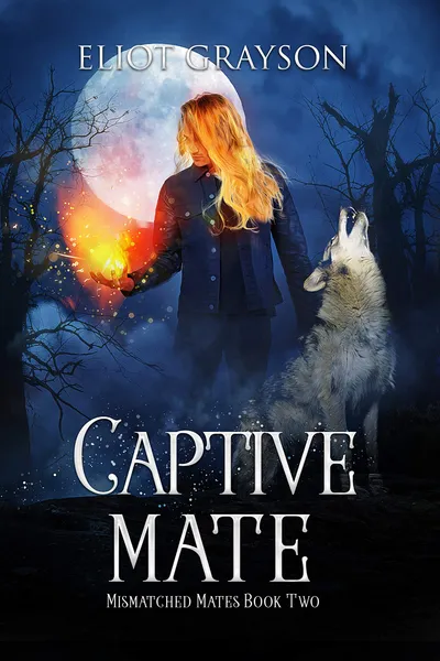 Cover of Captive Mate