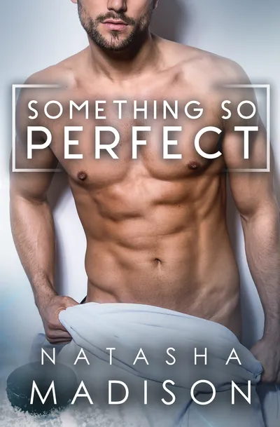 Cover of Something So Perfect