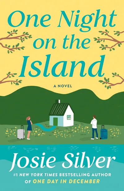 Cover of One Night on the Island