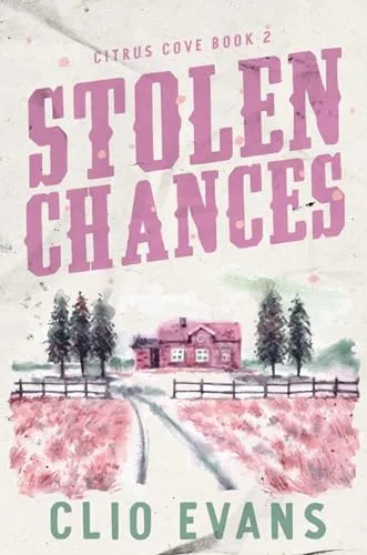 Cover of Stolen Chances