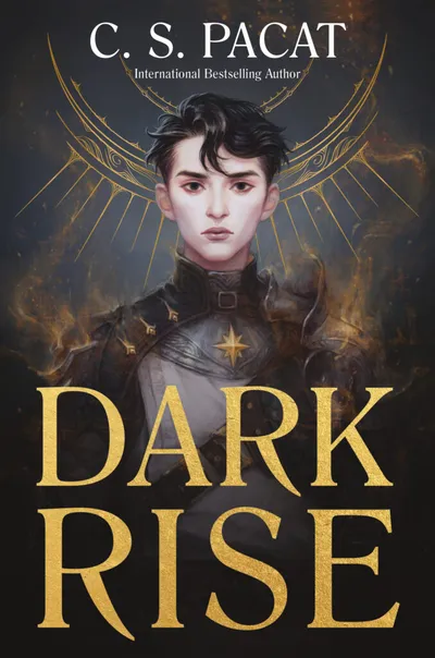 Cover of Dark rise