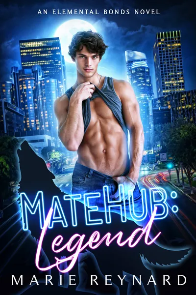 Cover of MateHub: Legend