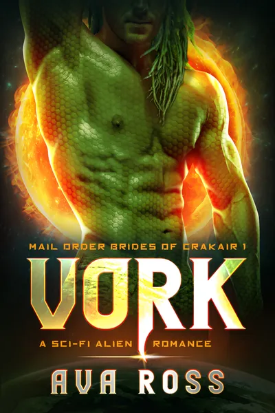 Cover of Vork