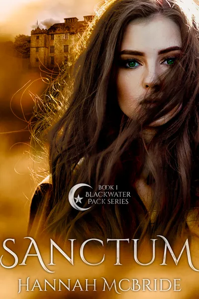 Cover of Sanctum