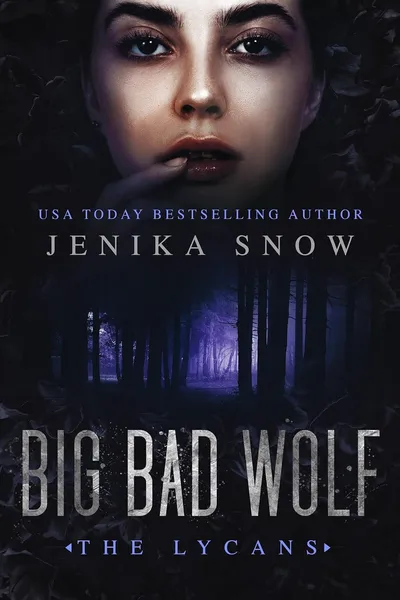 Cover of Big Bad Wolf