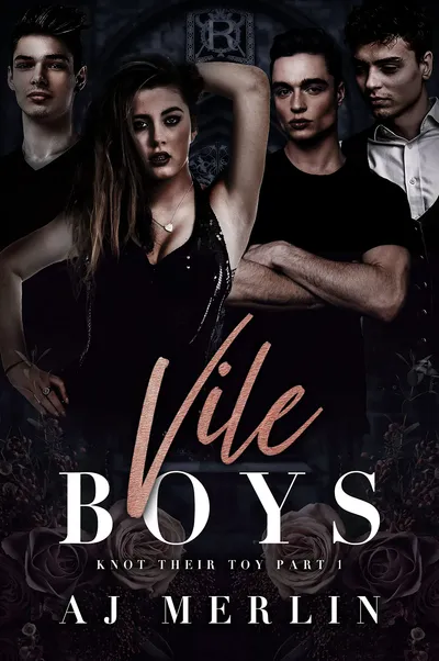 Cover of Vile Boys