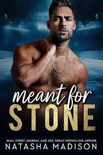 Cover of Meant for Stone