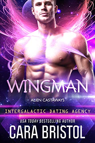 Cover of Wingman
