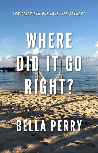 Cover of Where Did It Go Right?