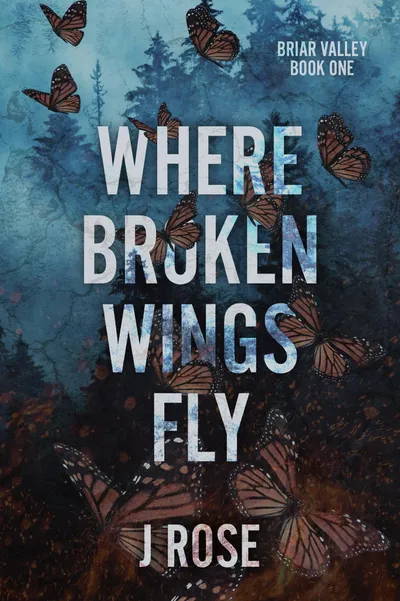 Cover of Where Broken Wings Fly