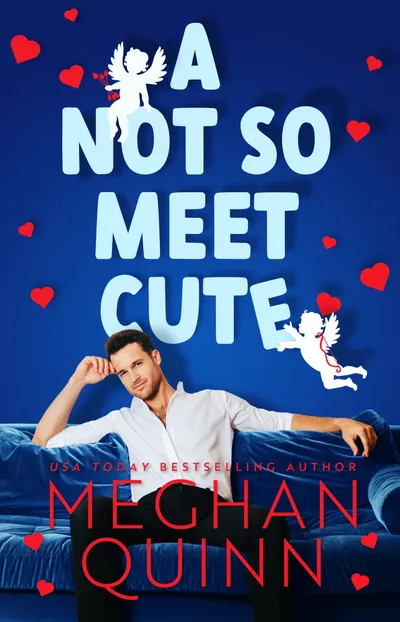 Cover of A Not So Meet Cute