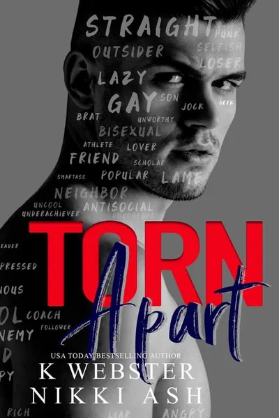 Cover of Torn Apart