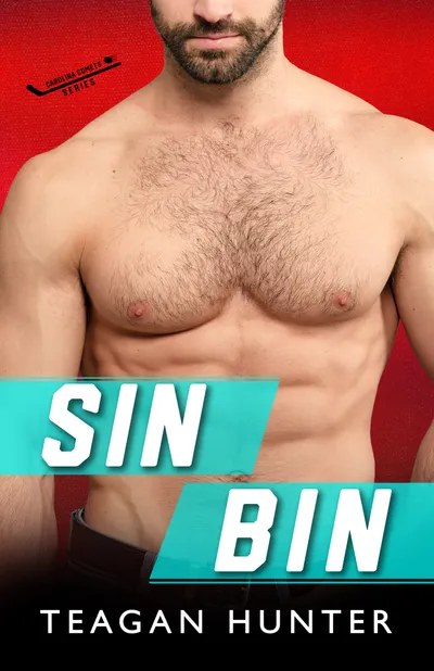 Cover of Sin Bin