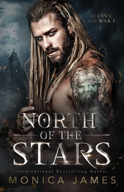 Cover of North of the Stars