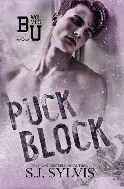 Cover of Puck Block