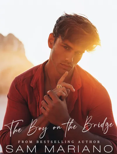 Cover of The Boy on the Bridge