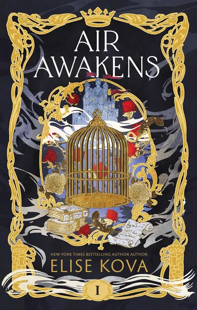 Cover of Air Awakens