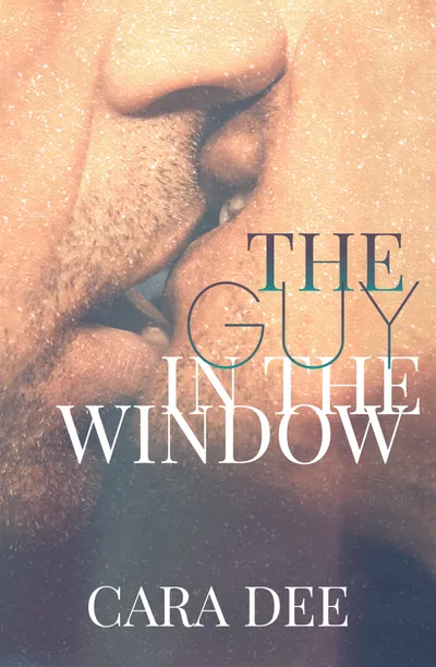 Cover of The Guy in the Window